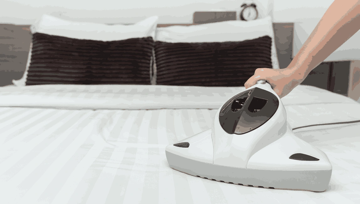 Professional Mattress Cleaning Bungaree